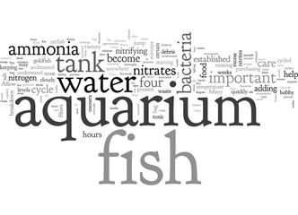 Aquarium Care Guide New Tanks