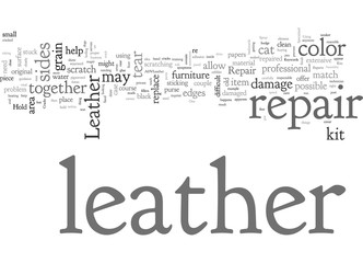 Advanced Leather Repair