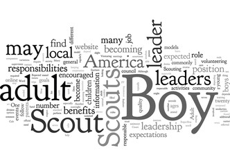 Adult Boy Scout Leaders What Is Expected Of Them