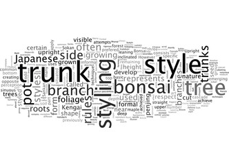 About basic bonsai styles