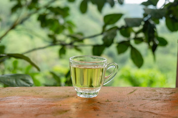 Hot tea in a clear glass placed on the table In the midst of natural atmosphere