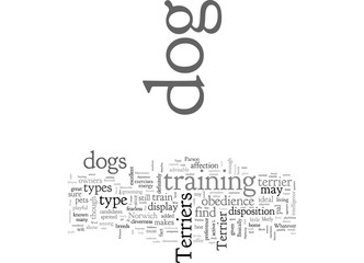 A Glimpse on the Various Types of Terrier Dogs