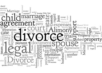 A Divorce Glossary