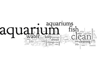 A Beginners Guide to a Clean and Healthy Aquarium