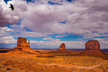 Monument valley daytime with clouds and blackbird flying