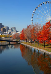 Colorful Montreal at fall