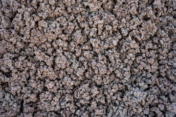 Texture of Dried Mud In Desert