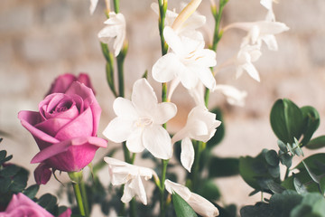 Fototapeta premium Flores decorativas para mesa y obsequios