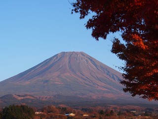 Obraz premium 真っ赤な紅葉と富士山