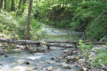 CROSSING THE CREEK