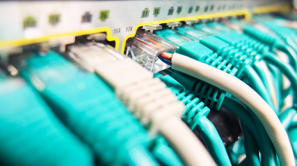 network cables connected to router ports
