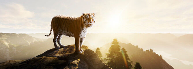 tiger standing on a stone at sunset