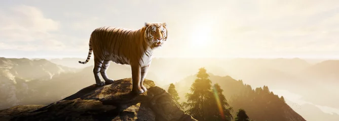 Fotobehang tiger standing on a stone at sunset © Jess rodriguez