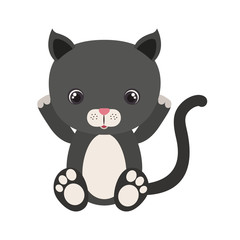 cute little cat animal character