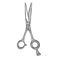 Hairdressing scissors isolated on white background.Vector graphics