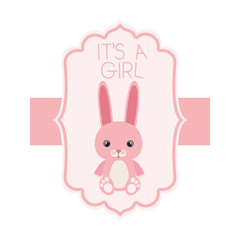 cute little rabbit in its a girl frame