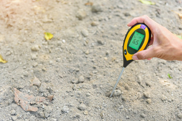 Use soil PH meter for check the PH value 