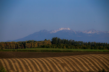 綺麗な畑の模様と山並み