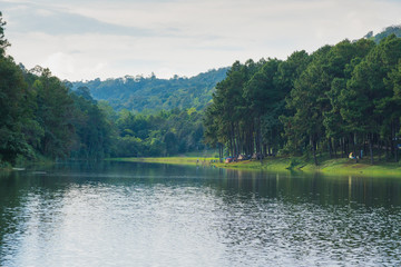 Forest and reservoir