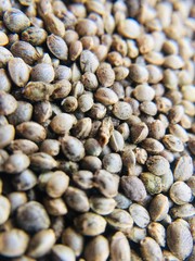 close up of a lot of dried fish on market