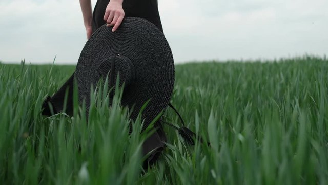 Flamboyant Girl In Black Dress Goes By The Field.