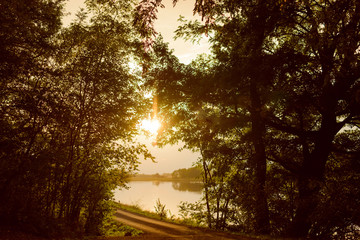 Landscape with forest lake in autumn with sunrays
