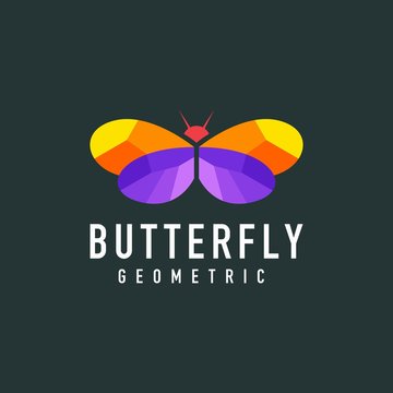 colorful geometry butterfly logo design vector