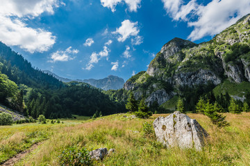 Fototapeta na wymiar Mountain view in Montenegro 