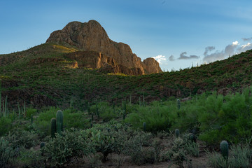 Fototapeta na wymiar Last Light - Picture Rocks Arizona