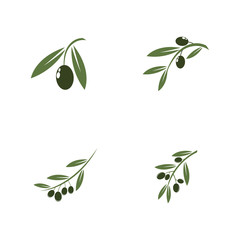 Set of Olive logo template vector icon illustration