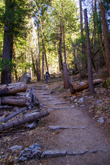 Yosemite Fall 2019