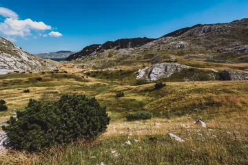 Foto op Canvas landscape in the mountains © Zoran Jesic