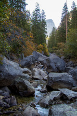 Yosemite Fall 2019