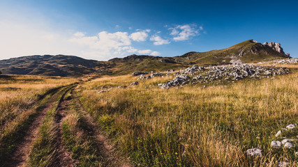 landscape in mountains