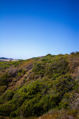 Obraz premium Big Sur