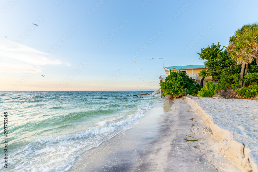 Wall mural Beaching it