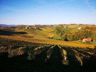Südsteirische Weinstraße im Herbst