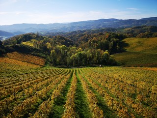 Südsteirische Weinstraße im Herbst