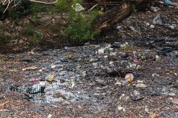 wasted or spoiled food and other refuse, as from a kitchen or household. 7