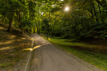 sun rise morning spring park scenery landscape with concrete road for peaceful walking and promenade 
