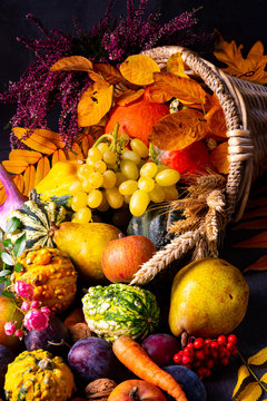 The beautiful and autumnal cornucopia
