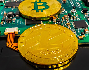 Satoshi Nakamoto BTC Gold Plated Bitcoin Coin Litecoin LTC computer hard disk drive HDD