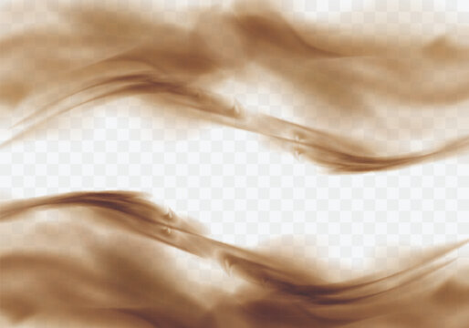 Desert sandstorm, brown dusty cloud border or dry sand flying with gust of wind, brown smoke realistic texture with small particles or grains vector illustration isolated on transparent background
