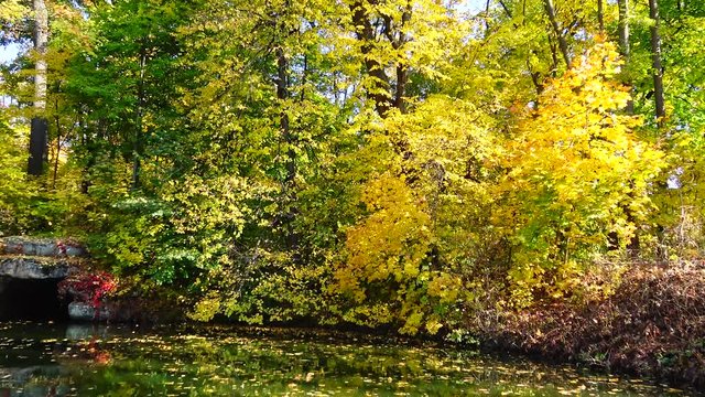 Autumn, yellow leaves, leaf fall in Sophia park, Uman, Ukraine