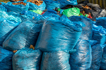 Blue plastic bags with collected fallen leaves