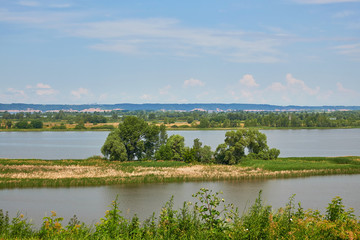 A small island on the Volga river. Trees and grass grow on the island.