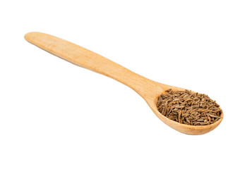 Dry cumin in spoon