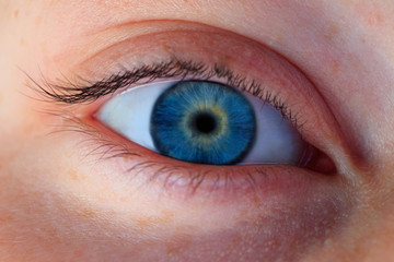 Close-up of the human blue eye	