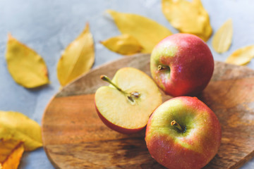 Ripe juicy apples lie among the fallen golden fossil foliage.