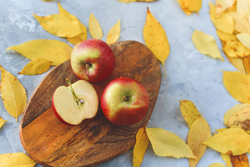 Ripe juicy apples lie among the fallen golden fossil foliage.